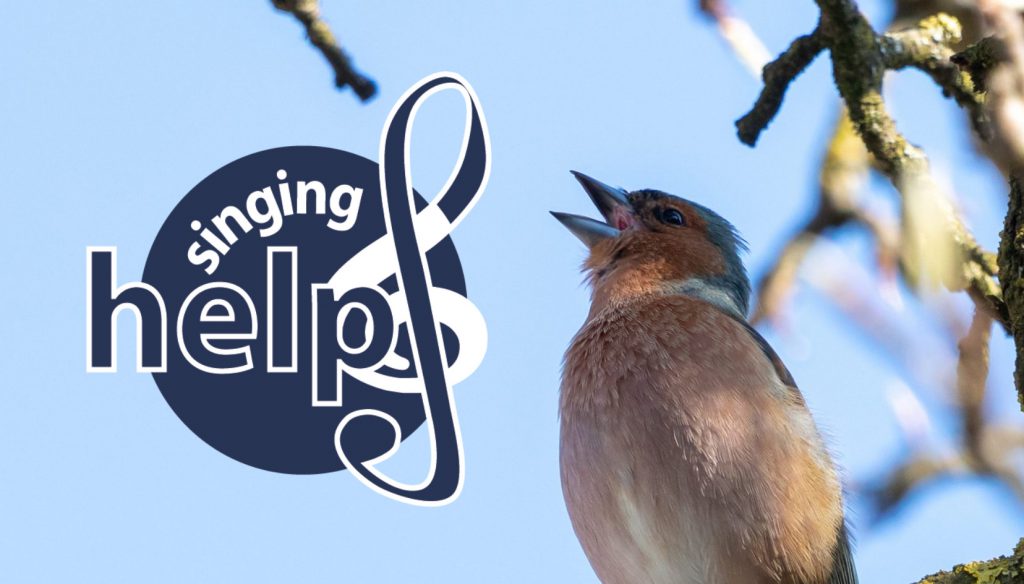 Bild: Vogel auf einem Baum mit Singing Helps Logo